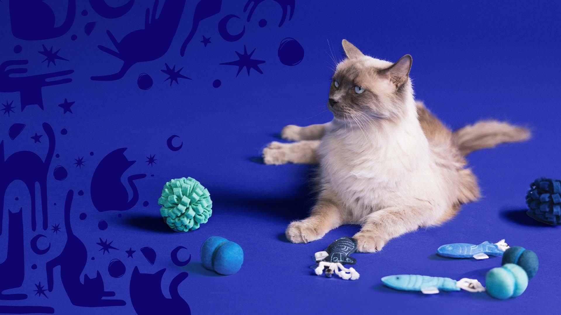 jupiter cat products