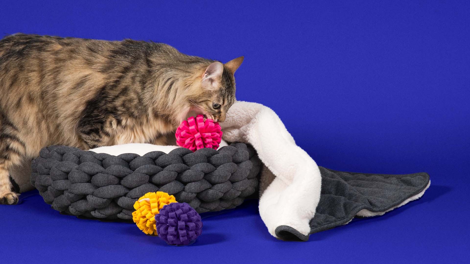 Ocean view from house